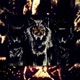Virar o Jogo feat Zombie Johnson Glauco CNR Single