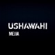 Ushawahi Single