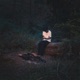 fourteen Single