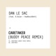 Caretaker Buddy Peace Remix Single