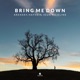 Bring Me Down Single