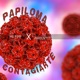Papiloma Contagiarte Single