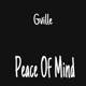 Peace of Mind Single