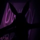 Bunny Single
