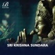 Sri Krishna Sundara