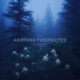 Another Perspective Single