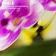Something Wonderful feat Annie Lux Single