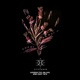 Everybody feat Idin Gorji Single
