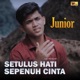 Setulus Hati Sepenuh Cinta Single