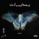 TWO of EVERYTHING feat audiodrugz Single