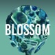 Blossom Single