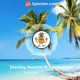 Summer Don t Stop Single