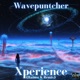 Xperience Rainer K Remix Single