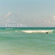Free Dive Single