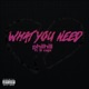 What You Need feat Lil Capi Single