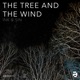 The Tree the Wind LP Sampler EP
