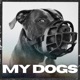 MY DOGS Single