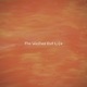 The Washed Out Life Single