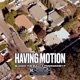 Having motion feat Trackmoney p Single