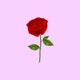 Urok Single