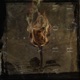 Unabomber Single