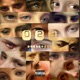 023 Intro Single