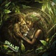 Shalei Single