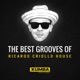 The Best Grooves of Ricardo Criollo House