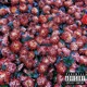 highs n lows feat Tanna Marie Toryon Single