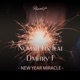 New Year s miracle feat Dmitry F Single