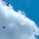 Cormoran Single