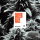 Silver Haze Single