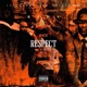 Respect Single