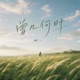 曾几何时 Single