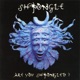 Are You Shpongled