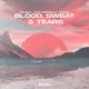 Blood Sweat Tears Single