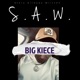 S A W Story Already Written