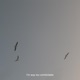 Too Comfortable Single