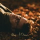 Asleep A Dream feat Dwight Trible Amanda Whiting Idris Rahman Radio Edit Single