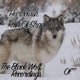 Rain of Shadows Single