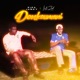 Donkoumani feat Lil Zed Single