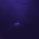 after dark slowed Single