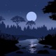 Night Single