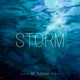 Storm Single