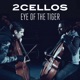 Eye of the Tiger Single