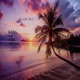 King of the Night From Tropical Oasis Experience 2 Numinous Single