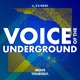 Voice of the Underground Single