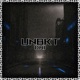 Unbkt Single