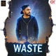 Waste feat D Banga Single