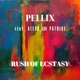 Rush of Ecstasy feat Alexa Patrice Single